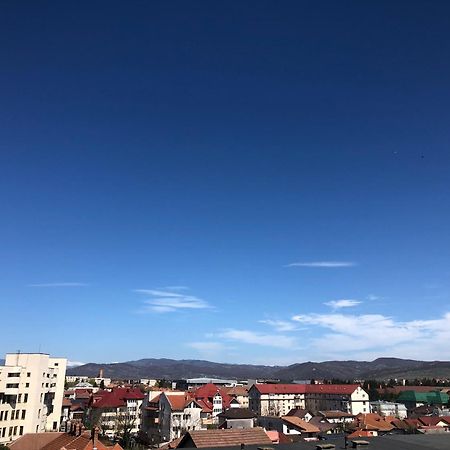 Tif Studio Râmnicu Vâlcea Dış mekan fotoğraf